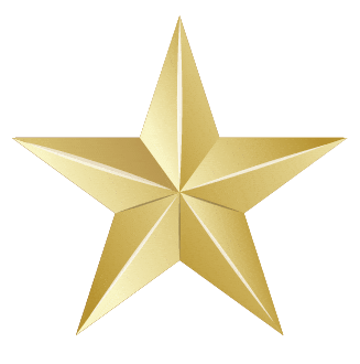 Christmas Star Sticker by Heart to Heart Foundation