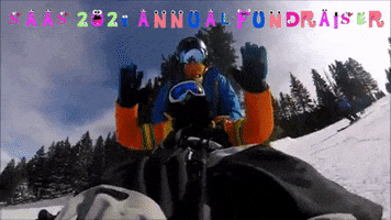 Fun GIF