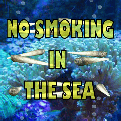 No Smoking Ocean GIF