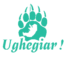 Jcis Sticker by JCI Suisse