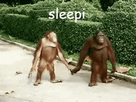 Me And My Gang GIF