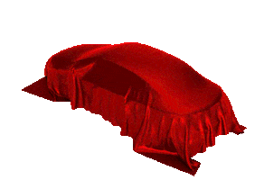 Sticker by Lion Motors