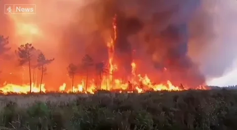 Climate Change Wildfires GIF by GIPHY News