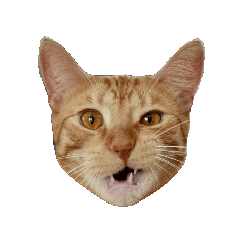 Animated Sticker