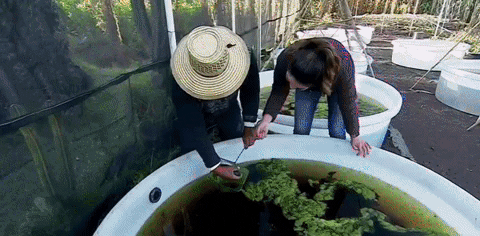 Animated GIF - Find & Share on GIPHY