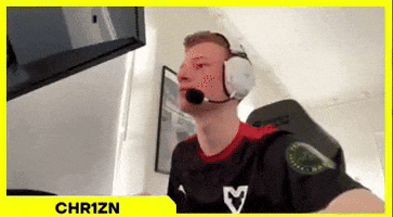 Counter Strike Cs GIF by mousesports