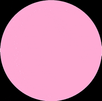 GIF by Hellokidsdental