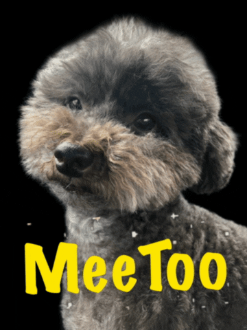 Meetoo Education GIF