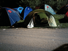 Festival GIF