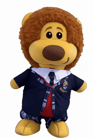 Surprised GIF by colegioroth