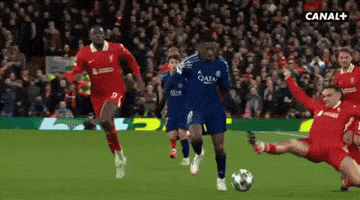 Paris Saint-Germain Psg GIF