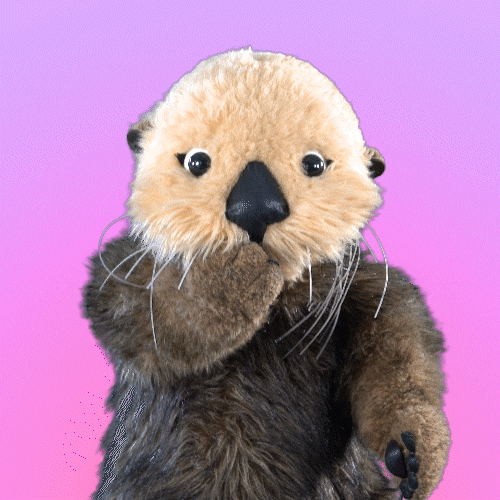 Sea Otter Love GIF by Aquarium of the Pacific