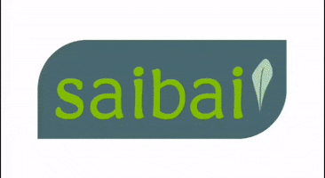 Saibai GIF
