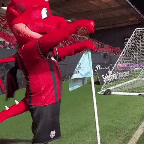 Ligue 2 Football GIF