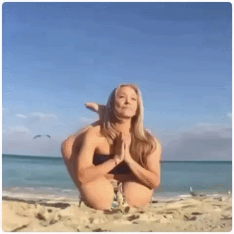 giphy.gif