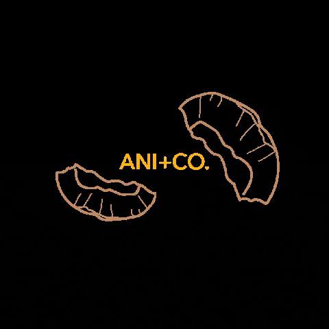 ANI+CO GIF