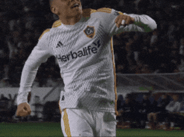 Happy Lets Go GIF by Major League Soccer