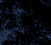 Don't miss the meteor shower this evening! Meteor Shower Gif - Perseid Meteor Shower 2015 Gifs Get The Best Gif On Giphy
