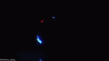 America First Fuentes GIF