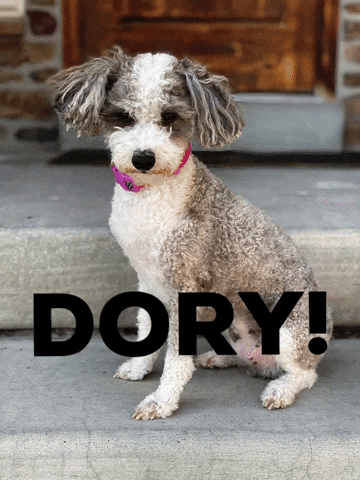 Dory GIF