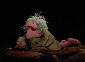 Inspired Fraggle Rock GIF by Muppet Wiki