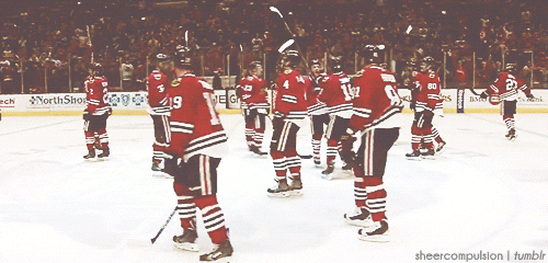 andrew shaw