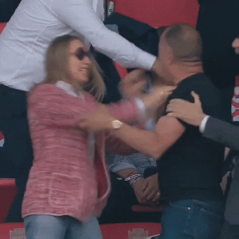 Ssd Lecce GIF