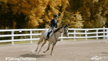 Jump Horse GIF by Hallmark Channel
