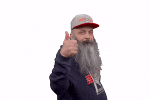 Bear Thumbs Up GIF by Superfurry.nl