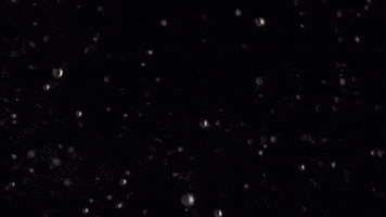 Rapper GIF