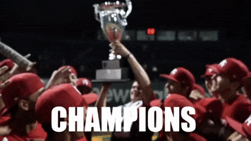 Area Code Baseball GIF