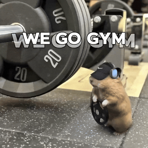 Workout Go GIF