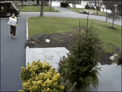 https://media3.giphy.com/media/NfFRvaIGb9A9q/giphy.gif?cid=790b761126c0df141af37ae57c884ebce401594076a31c92&rid=giphy.gif