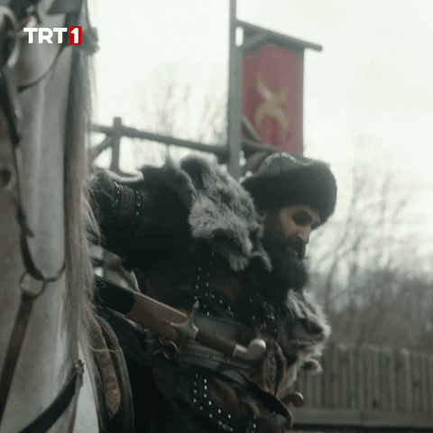 Angry History GIF by TRT