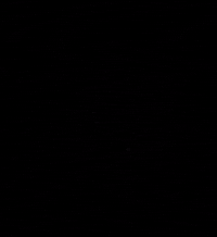 SCHORER + WOLF GIF