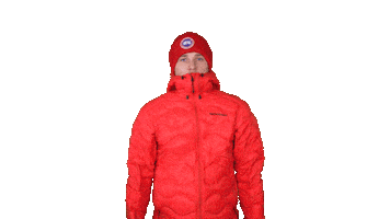 Winter Freeze Sticker by sebastianzier