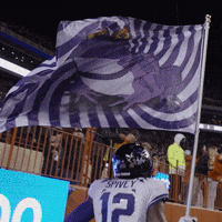 Horned Frogs Flag GIF by TCU Football