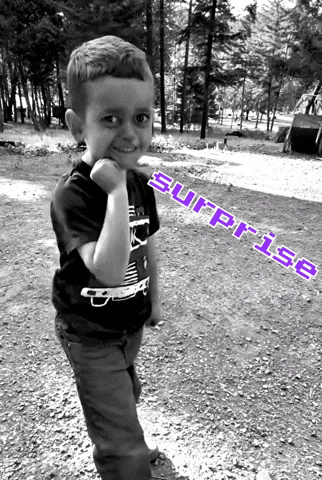 Surprise Jordan GIF by ZShredz