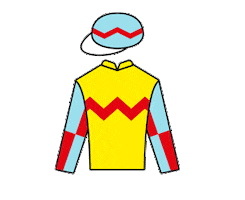 Wellington Sticker by HKJC Racing Sports