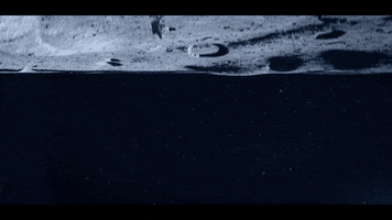 hokusfilm space moon moonwalk upsidedown GIF