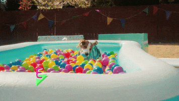 its my dog birthday GIF by T-Pain
