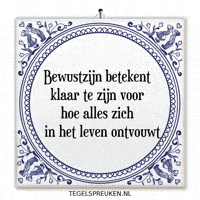 Moment Nl GIF by Tegelspreuken.nl