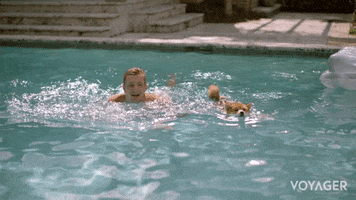 Shiba Inu Swimming GIF by Voyager