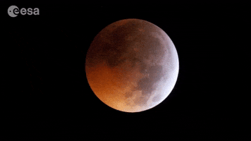 Lunar Eclipse GIFs - Find & Share on GIPHY