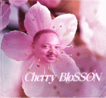 Anthony Mackie Son GIF