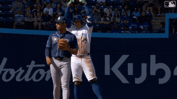 Blue Jays Celebration GIF by Toronto Blue Jays