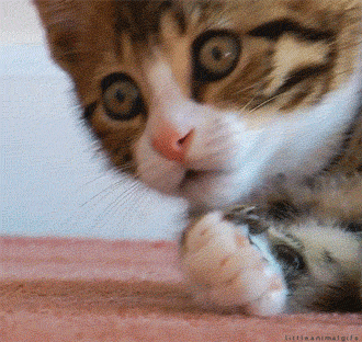 source.gif