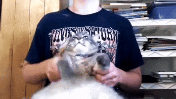 phe death metal fat cat drum cover GIF