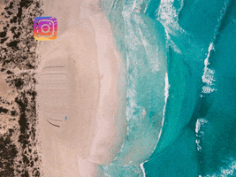 200.gif?cid=fc005b082dd7747e9ed4bde9d67b45a6a6badfa1969f770a&rid=200.gif&ct=g