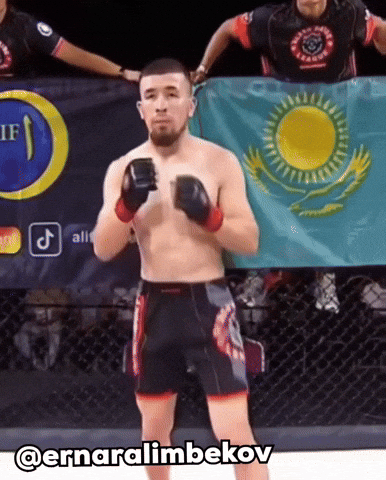 Ufc Mma GIF